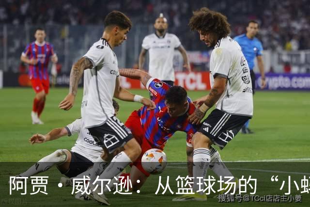 阿贾·威尔逊：从篮球场的“小蚂蚁”到千万富翁的“篮球女王